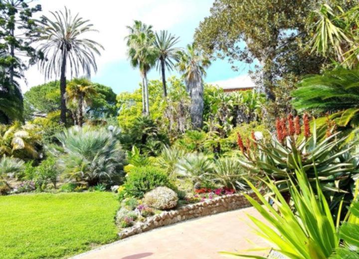 Ampio Appartamento Centrale Sanremo Dış mekan fotoğraf
